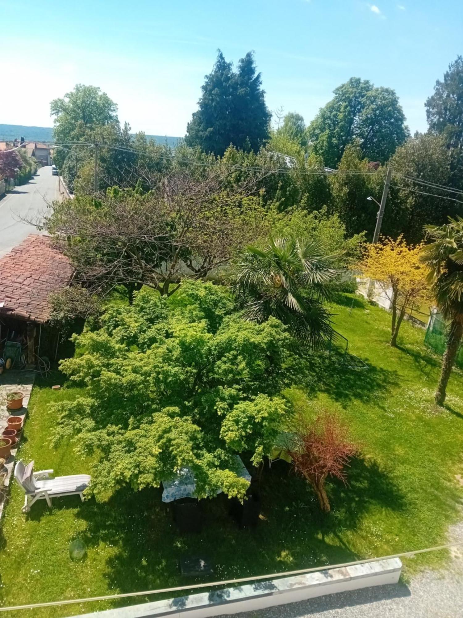 Alloggio Grazioso Con Vista Giardino E Parcheggio Biella Esterno foto